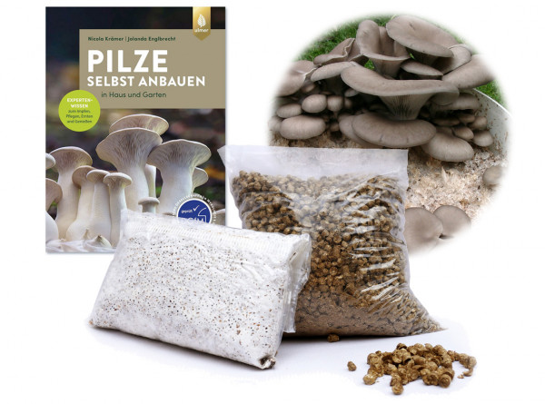 Kombi-Set Austernpilzbrut + Strohpellets mit Buch &quot;Pilze selbst anbauen in Haus und Garten&quot;